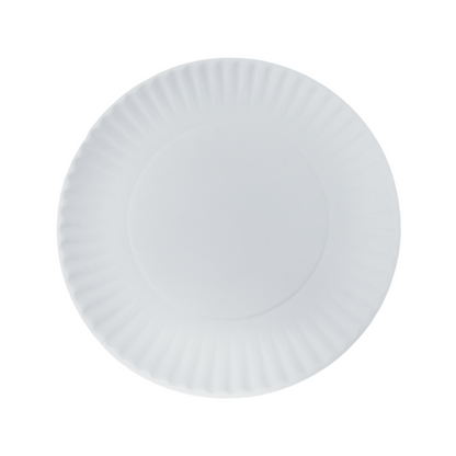 EJY IMPORT Uncoated White Paper Plates
